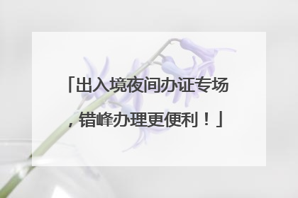 出入境夜间办证专场，错峰办理更便利！