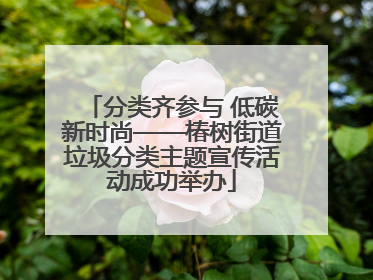 分类齐参与 低碳新时尚——椿树街道垃圾分类主题宣传活动成功举办