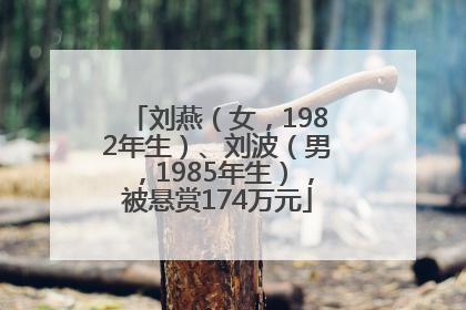 刘燕（女，1982年生）、刘波（男，1985年生），被悬赏174万元