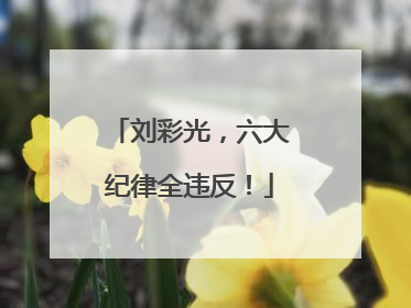 刘彩光，六大纪律全违反！