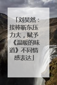 刘昊然：接棒靳东压力大，赋予《温暖的味道》不同情感表达