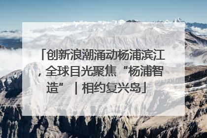 创新浪潮涌动杨浦滨江，全球目光聚焦“杨浦智造”｜相约复兴岛