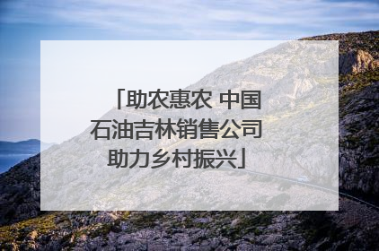 助农惠农 中国石油吉林销售公司助力乡村振兴