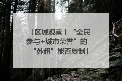 区域观察丨“全民参与+城市荣誉”的“苏超”能否复制