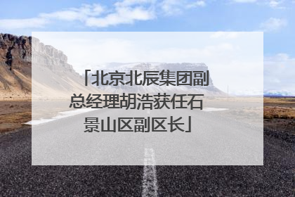 北京北辰集团副总经理胡浩获任石景山区副区长