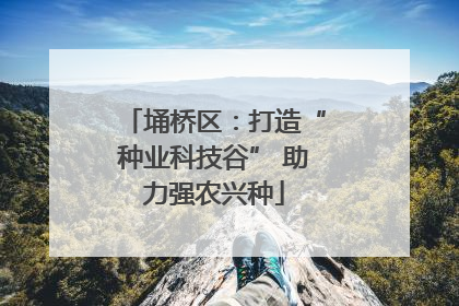 埇桥区：打造“种业科技谷” 助力强农兴种