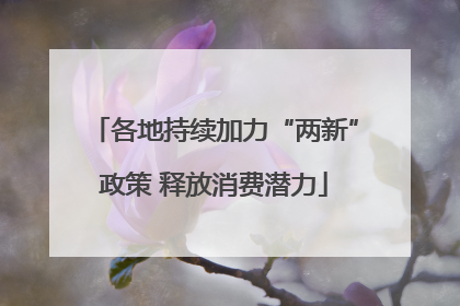 各地持续加力“两新”政策 释放消费潜力