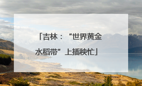 吉林：“世界黄金水稻带”上插秧忙