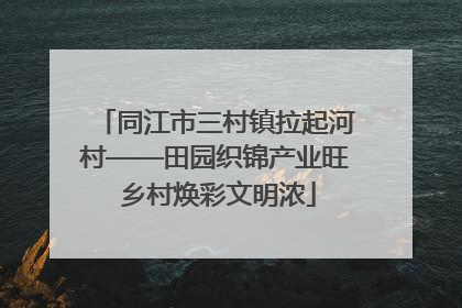 同江市三村镇拉起河村——田园织锦产业旺 乡村焕彩文明浓
