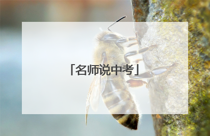 名师说中考
