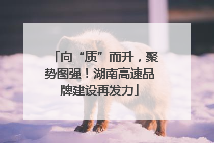 向“质”而升，聚势图强！湖南高速品牌建设再发力