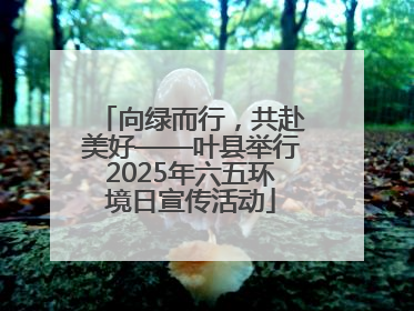 向绿而行，共赴美好——叶县举行2025年六五环境日宣传活动