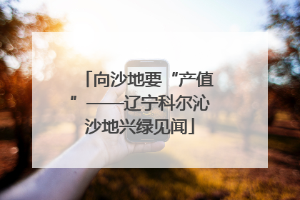 向沙地要“产值”——辽宁科尔沁沙地兴绿见闻