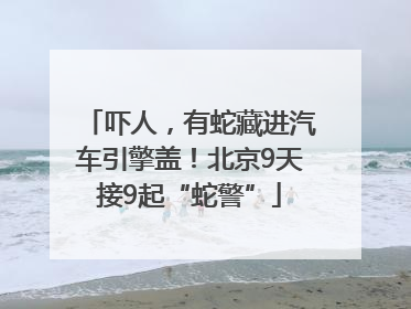 吓人，有蛇藏进汽车引擎盖！北京9天接9起“蛇警”