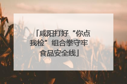 咸阳打好“你点我检”组合拳守牢食品安全线