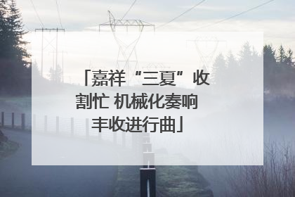 嘉祥“三夏”收割忙 机械化奏响丰收进行曲