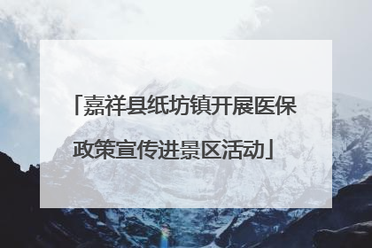 嘉祥县纸坊镇开展医保政策宣传进景区活动