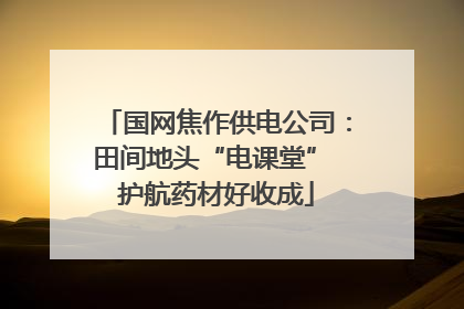 国网焦作供电公司：田间地头“电课堂” 护航药材好收成
