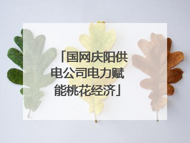 国网庆阳供电公司电力赋能桃花经济