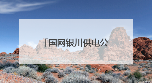 国网银川供电公司发布2024年服务地方经济社会发展白皮书