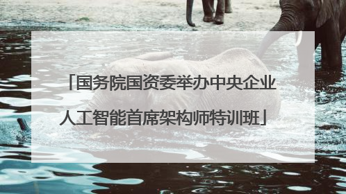 国务院国资委举办中央企业人工智能首席架构师特训班