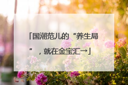 国潮范儿的“养生局”，就在金宝汇→