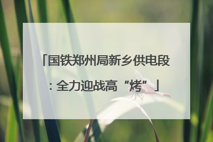 国铁郑州局新乡供电段：全力迎战高“烤”
