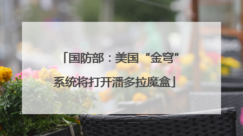 国防部：美国“金穹”系统将打开潘多拉魔盒
