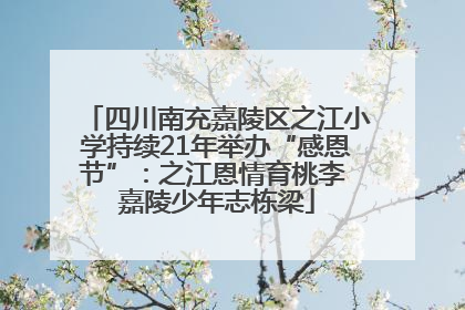 四川南充嘉陵区之江小学持续21年举办“感恩节”：之江恩情育桃李 嘉陵少年志栋梁