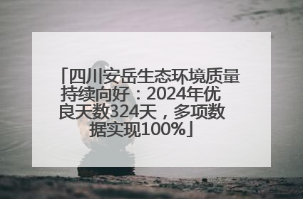 四川安岳生态环境质量持续向好：2024年优良天数324天，多项数据实现100%