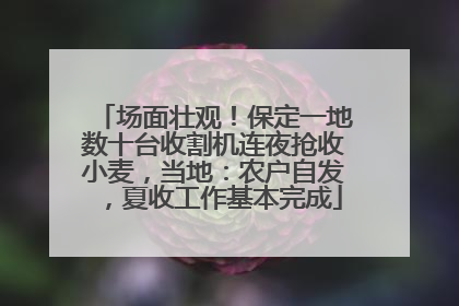 场面壮观！保定一地数十台收割机连夜抢收小麦，当地：农户自发，夏收工作基本完成