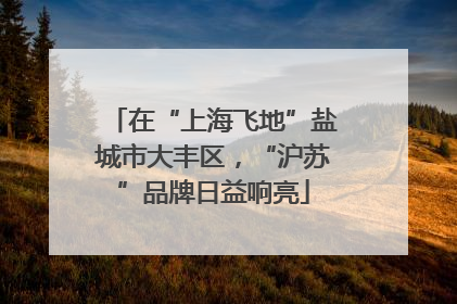 在“上海飞地”盐城市大丰区，“沪苏”品牌日益响亮