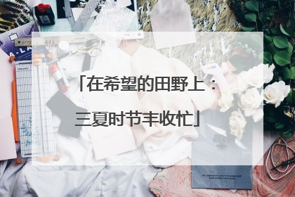 在希望的田野上：三夏时节丰收忙