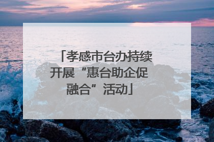孝感市台办持续开展“惠台助企促融合”活动