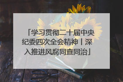 学习贯彻二十届中央纪委四次全会精神丨深入推进风腐同查同治