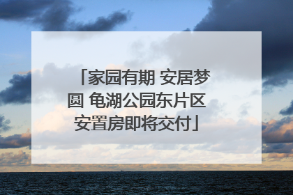 家园有期 安居梦圆 龟湖公园东片区安置房即将交付