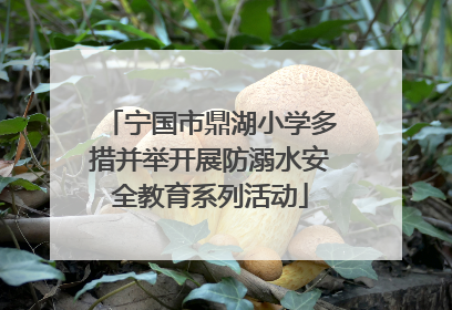 宁国市鼎湖小学多措并举开展防溺水安全教育系列活动