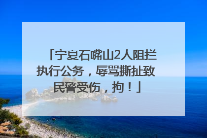 宁夏石嘴山2人阻拦执行公务，辱骂撕扯致民警受伤，拘！