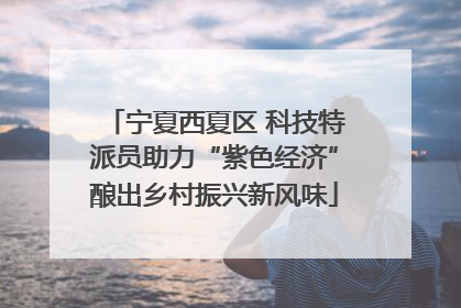 宁夏西夏区 科技特派员助力“紫色经济”酿出乡村振兴新风味
