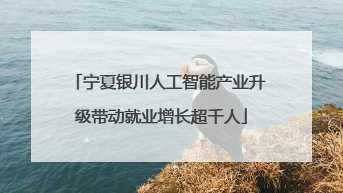 宁夏银川人工智能产业升级带动就业增长超千人