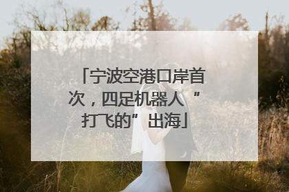 宁波空港口岸首次，四足机器人“打飞的”出海
