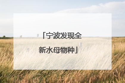 宁波发现全新水母物种
