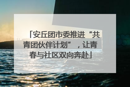 安丘团市委推进“共青团伙伴计划”，让青春与社区双向奔赴