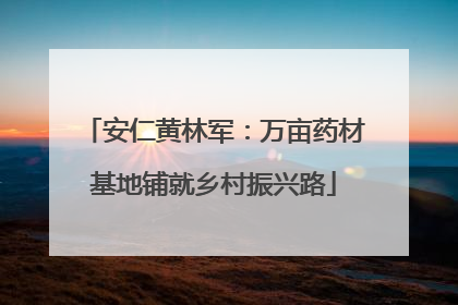 安仁黄林军：万亩药材基地铺就乡村振兴路
