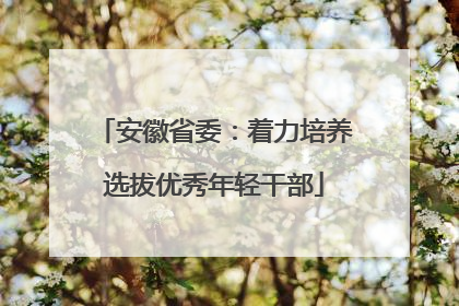 安徽省委：着力培养选拔优秀年轻干部