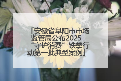 安徽省阜阳市市场监管局公布2025“守护消费”铁拳行动第一批典型案例