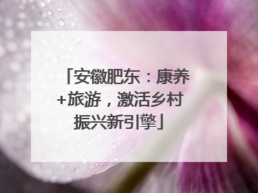 安徽肥东：康养+旅游，激活乡村振兴新引擎