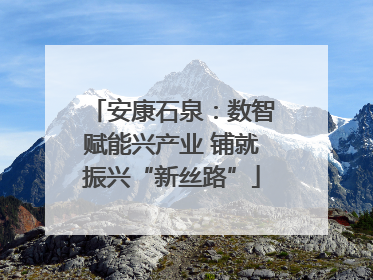 安康石泉：数智赋能兴产业 铺就振兴“新丝路”