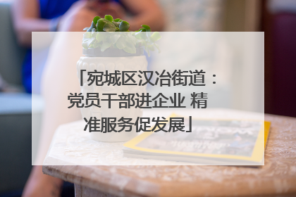 宛城区汉冶街道：党员干部进企业 精准服务促发展