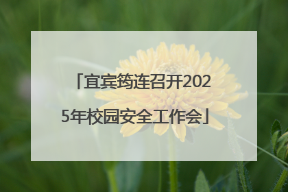 宜宾筠连召开2025年校园安全工作会